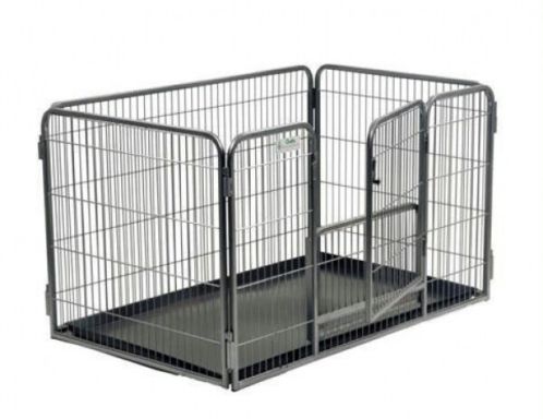 Puppyrennen