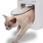 Kattenluiken