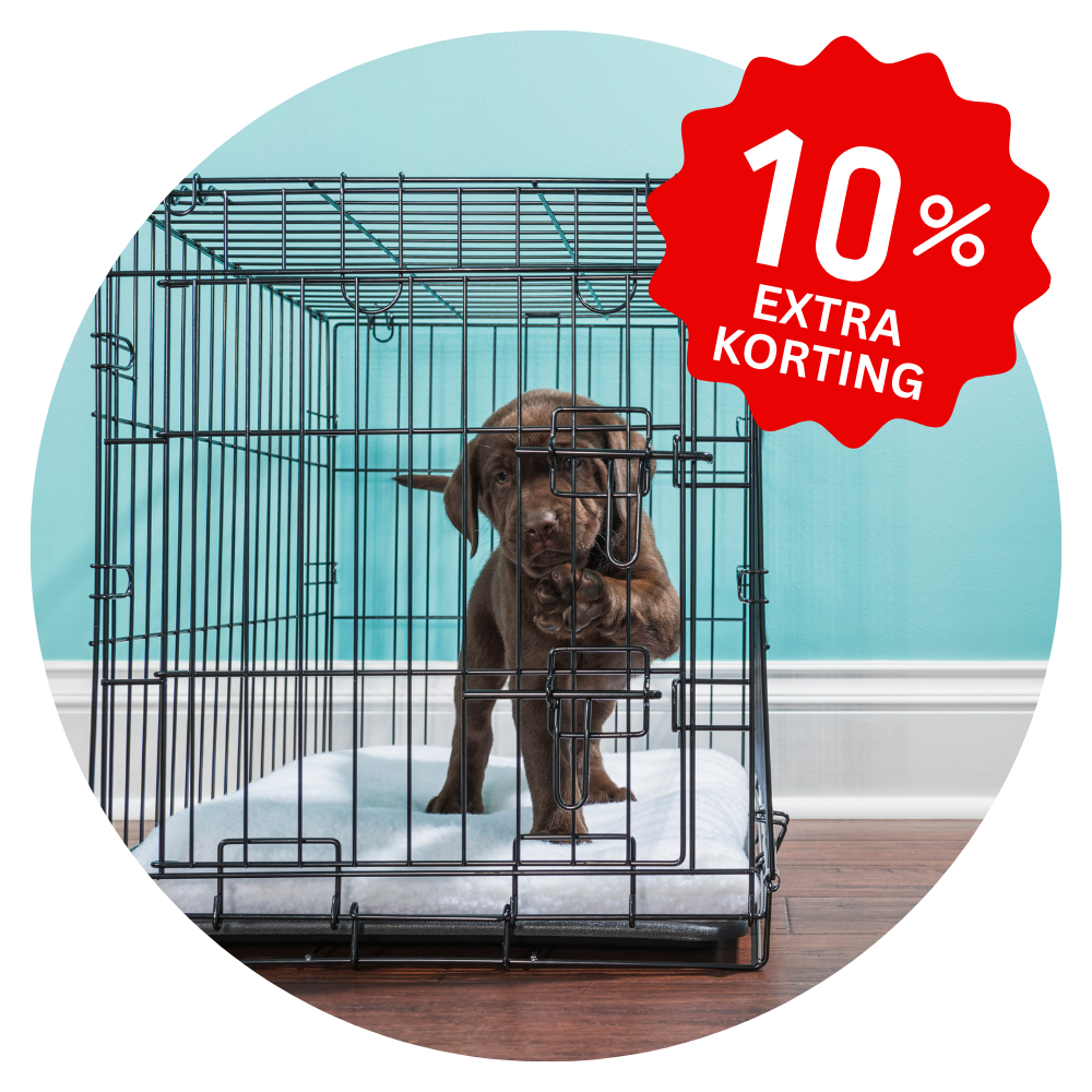 Actie Benchproducten