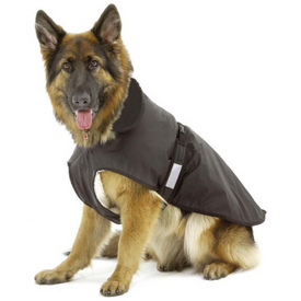Hondenkleding