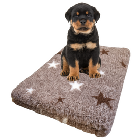 Vet Bed