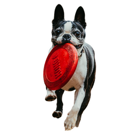 KONG Flyer Frisbees