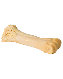 Natuurbeen Calcium 