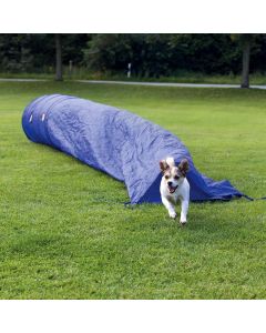 Agility Zaktunnel
