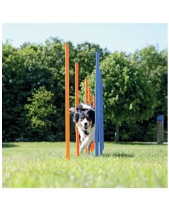 Trixie Dog Activity Agility Slalom - Hondensport - Blauw Oranje 12 poles