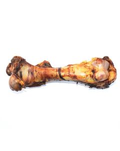 Paardenbeen Jumbo