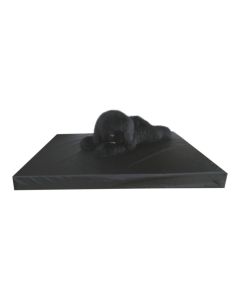 Topmast Gezondheidsmatras Leatherlook Zwart