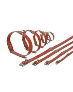 Leren Hondenriem + Halsband Rood