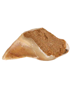 gevulde-runderhoef-topmast-hondensnack