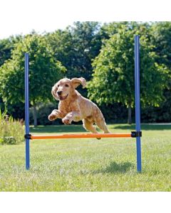Topmast Agility Sprong - Verstelbaar