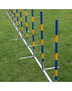  Topmast Professionele Agility Slalomset - 12 Palen - Recht